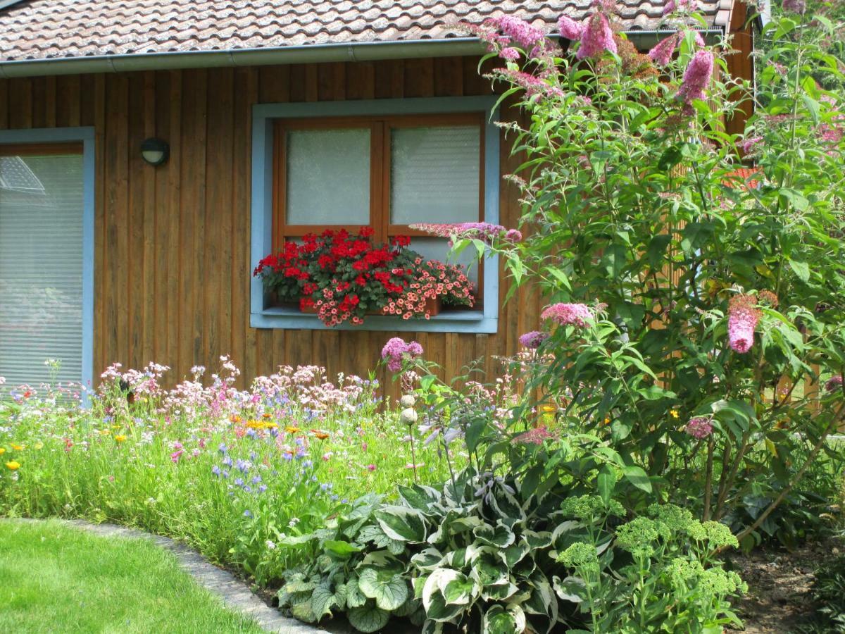 Studioferienhaus Herzogstadt-Celle Kültér fotó